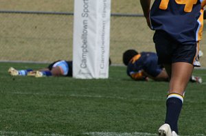 Buckley Shield Grand Final - Westfields SHS Vs Matraville SHS ( Photo : ourfooty media)