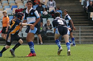 Buckley Shield Grand Final - Westfields SHS Vs Matraville SHS ( Photo : ourfooty media)